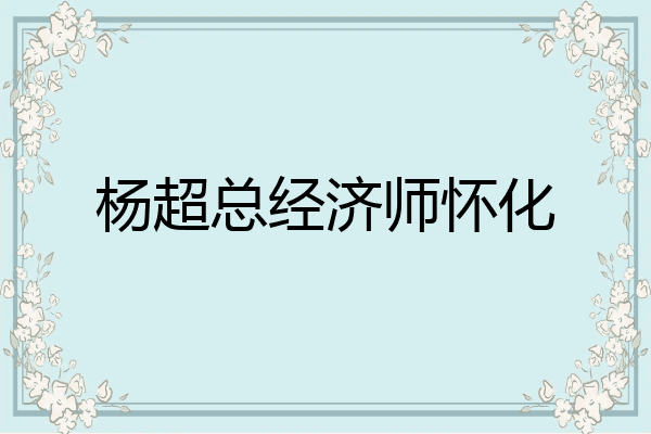 杨超总经济师怀化