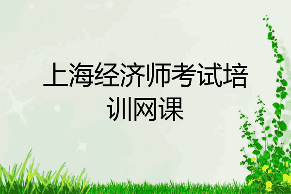 上海经济师考试培训网课