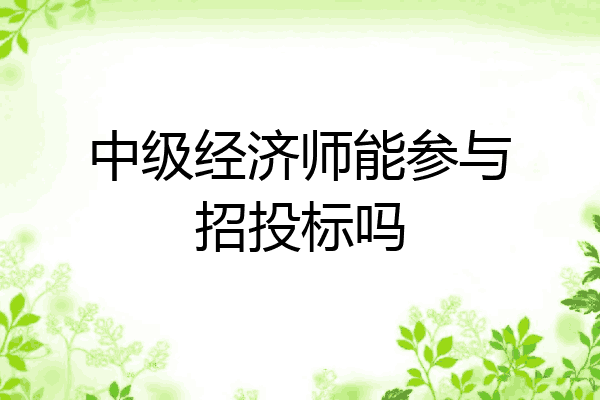 中级经济师能参与招投标吗