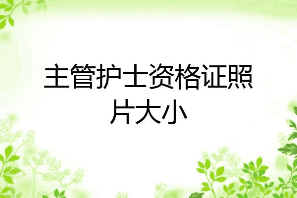 主管护士资格证照片大小