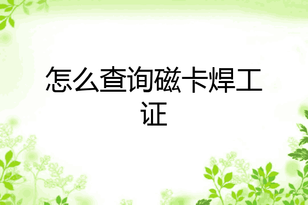 怎么查询磁卡焊工证