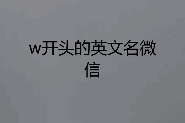 w开头的英文名微信