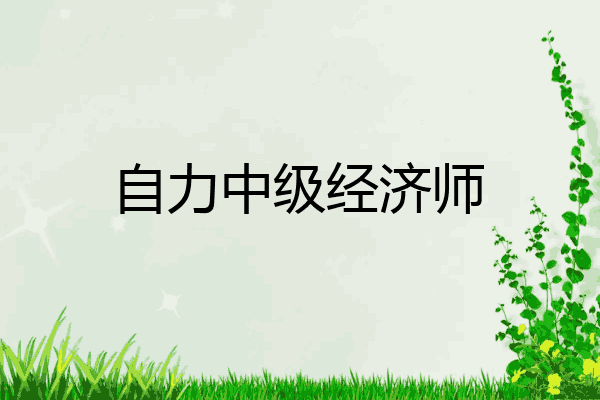 自力中级经济师