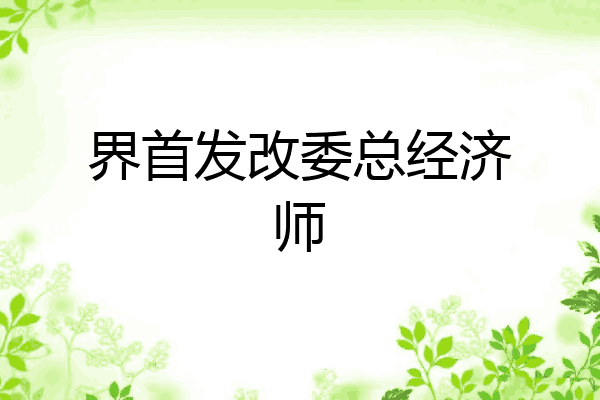 界首发改委总经济师