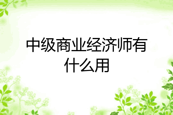 中级商业经济师有什么用
