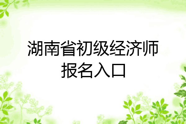 湖南省初级经济师报名入口