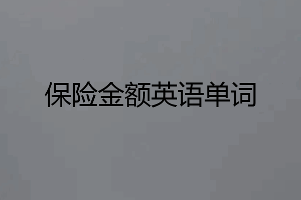 保险金额英语单词