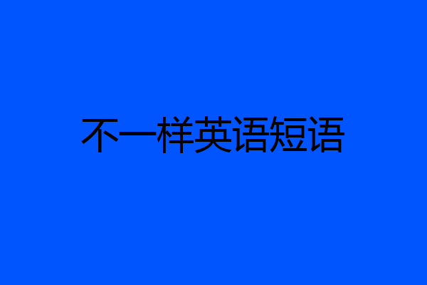 不一样英语短语