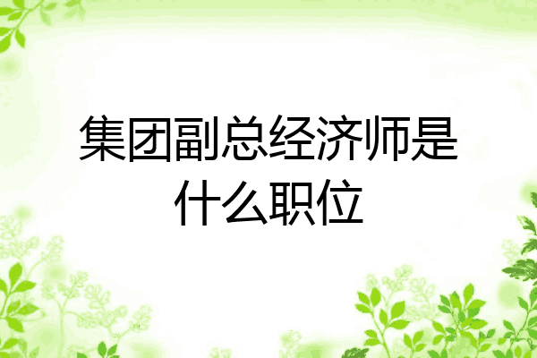 集团副总经济师是什么职位