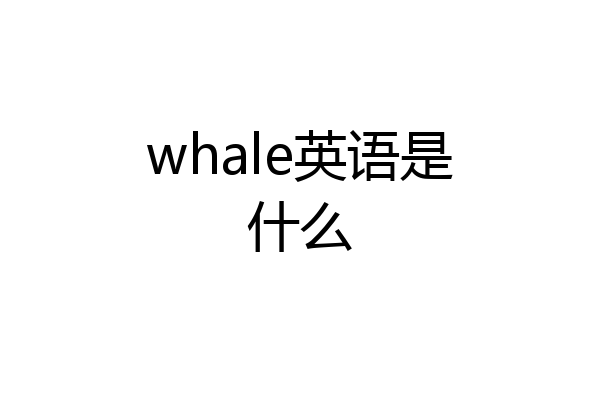 whale英语是什么