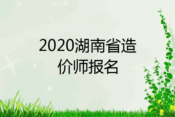 2020湖南省造价师报名
