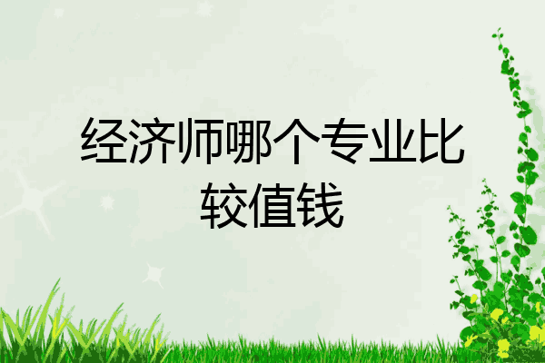 经济师哪个专业比较值钱