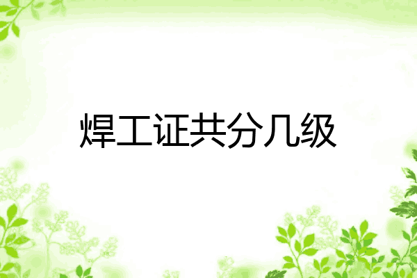 焊工证共分几级