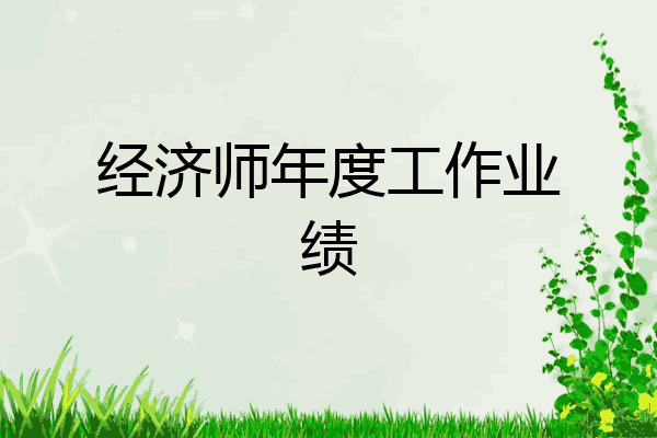 经济师年度工作业绩