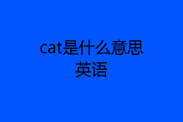 cat是什么意思英语