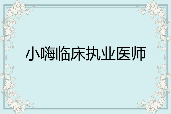 小嗨临床执业医师