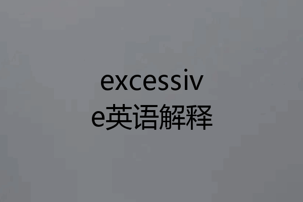 excessive英语解释