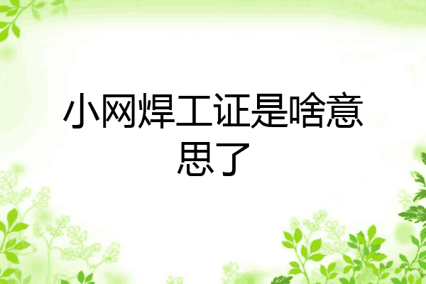 小网焊工证是啥意思了