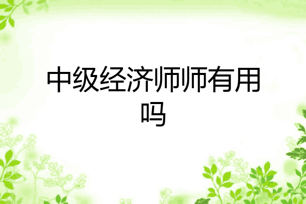 中级经济师师有用吗