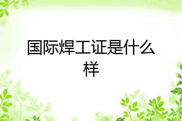 国际焊工证是什么样
