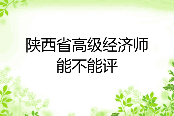 陕西省高级经济师能不能评