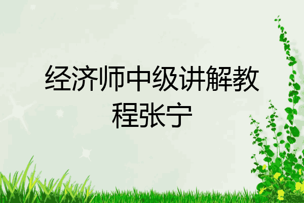 经济师中级讲解教程张宁