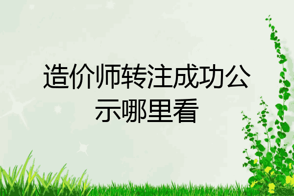 造价师转注成功公示哪里看