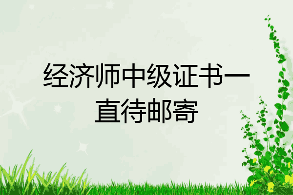 经济师中级证书一直待邮寄