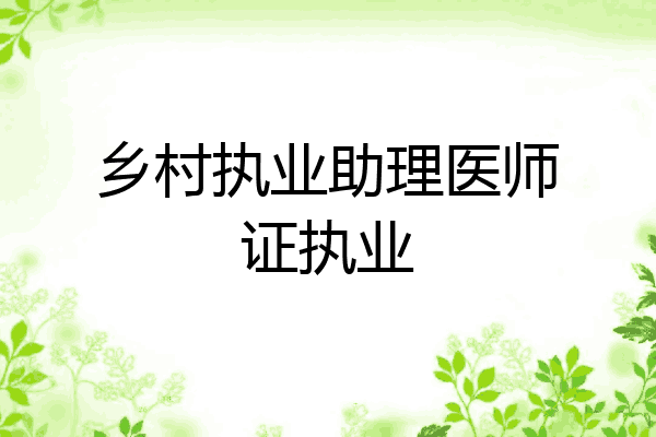 乡村执业助理医师证执业