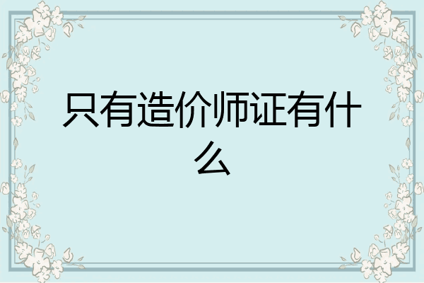 只有造价师证有什么