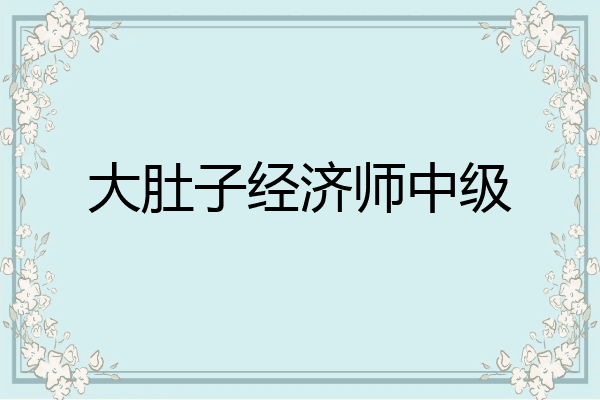 大肚子经济师中级