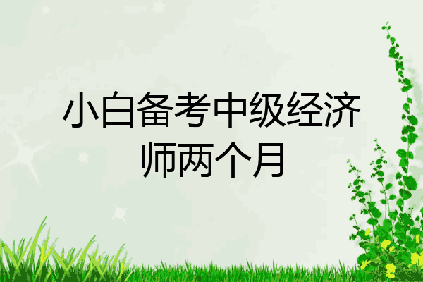 小白备考中级经济师两个月