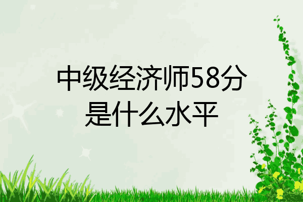 中级经济师58分是什么水平