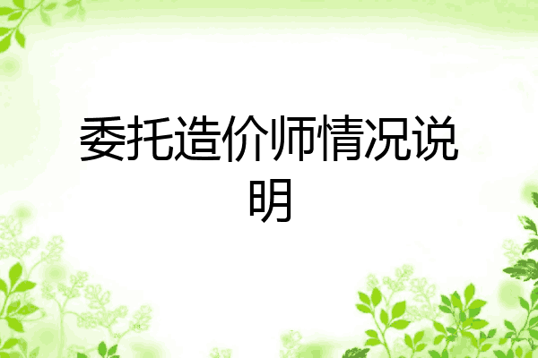 委托造价师情况说明