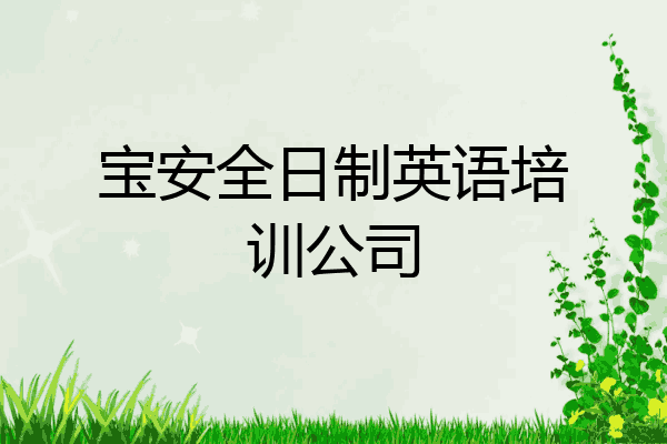 宝安全日制英语培训公司