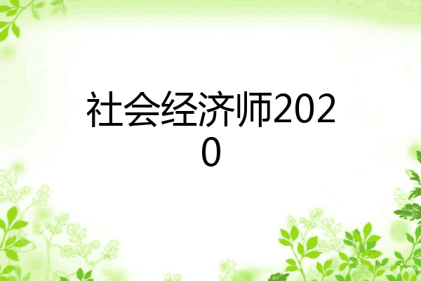 社会经济师2020