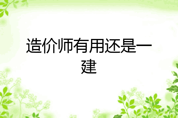 造价师有用还是一建