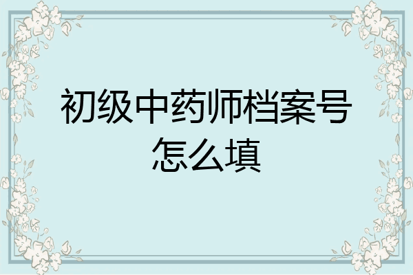 初级中药师档案号怎么填