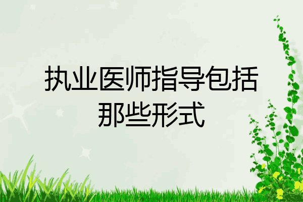 执业医师指导包括那些形式