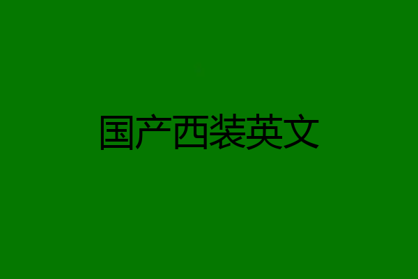 国产西装英文