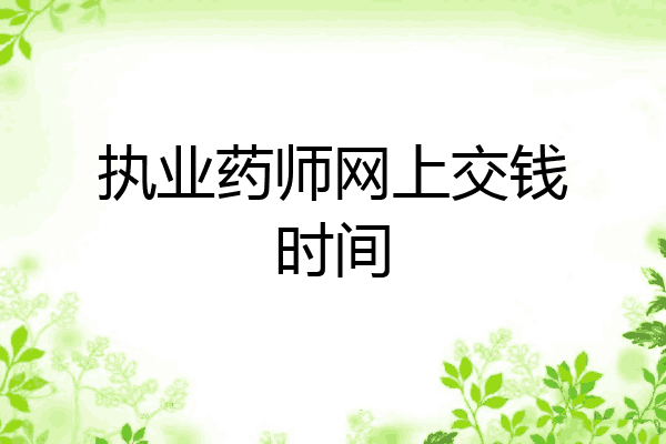 执业药师网上交钱时间