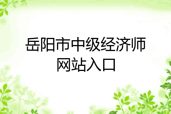 岳阳市中级经济师网站入口