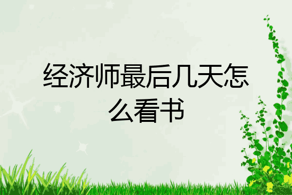 经济师最后几天怎么看书