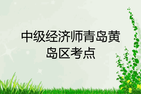 中级经济师青岛黄岛区考点