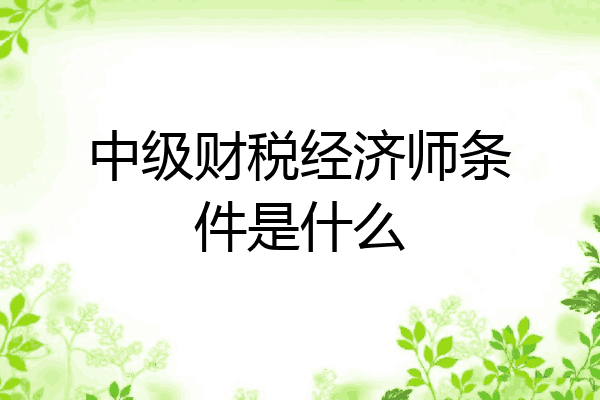 中级财税经济师条件是什么