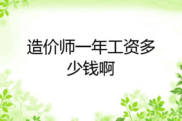 造价师一年工资多少钱啊