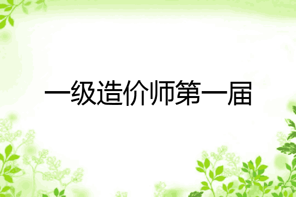 一级造价师第一届