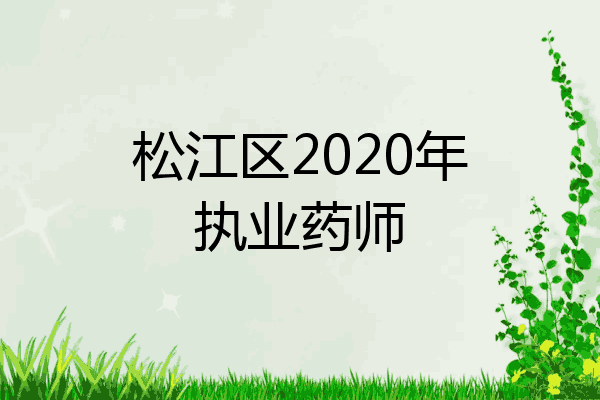 松江区2020年执业药师