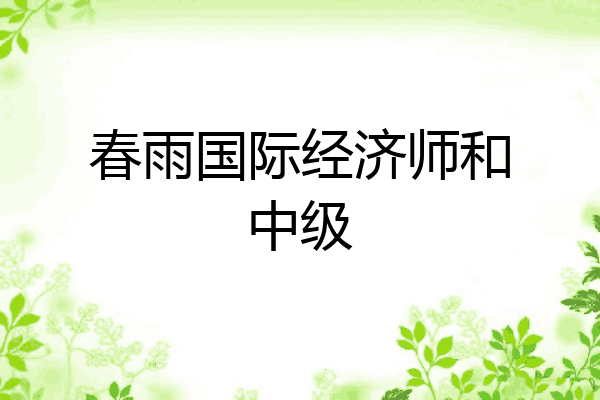 春雨国际经济师和中级