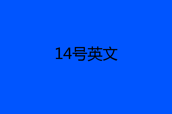 14号英文